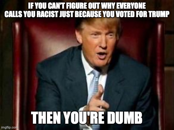 Donald Trump | IF YOU CAN'T FIGURE OUT WHY EVERYONE CALLS YOU RACIST JUST BECAUSE YOU VOTED FOR TRUMP; THEN YOU'RE DUMB | image tagged in donald trump | made w/ Imgflip meme maker