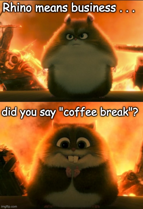 Not just a hamster, a megalomaniacal fluffball | Rhino means business . . . did you say "coffee break"? | image tagged in hamster does not play | made w/ Imgflip meme maker
