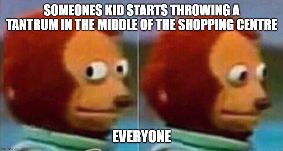 Awkwardness! | SOMEONES KID STARTS THROWING A TANTRUM IN THE MIDDLE OF THE SHOPPING CENTRE; EVERYONE | image tagged in monkey looking away | made w/ Imgflip meme maker
