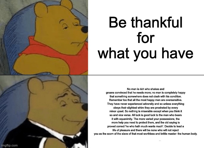 Tuxedo Winnie The Pooh Meme | Be thankful for what you have; No man is rich who shakes and groans convinced that he needs more; no man is completely happy that something somewhere does not clash with his condition. Remember too that all the most happy men are oversensitive. They have never experienced adversity and so unless everything obeys their slightest whim they are prostrated by every minor upset. So nothing is miserable except when you think it so and vice versa. All luck is good luck to the man who bears it with equanimity. The more varied your possessions, the more help you need to protect them, and the old saying is proved correct 'he who hath much wants much'. Decide to lead a life of pleasure and there will be none who will not reject you as the scorn of the slave of that most worthless and brittle master: the human body. | image tagged in memes,tuxedo winnie the pooh | made w/ Imgflip meme maker