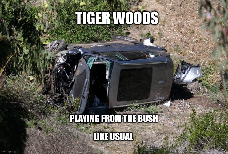 Tiger Woods Car Crash | TIGER WOODS; PLAYING FROM THE BUSH; LIKE USUAL | image tagged in tiger woods car crash | made w/ Imgflip meme maker