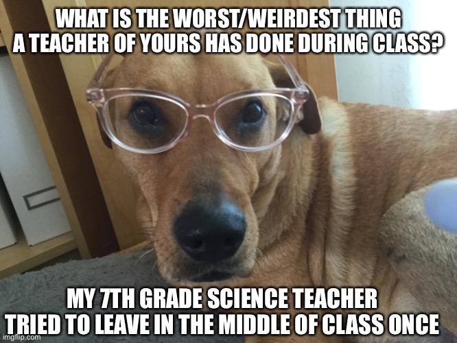 Same dude who claimed to have gone on a paid research sabbatical to the very bottom of the Mariana Trench | WHAT IS THE WORST/WEIRDEST THING A TEACHER OF YOURS HAS DONE DURING CLASS? MY 7TH GRADE SCIENCE TEACHER TRIED TO LEAVE IN THE MIDDLE OF CLASS ONCE | image tagged in smarty dog,7th grade science teacher,teacher tales | made w/ Imgflip meme maker