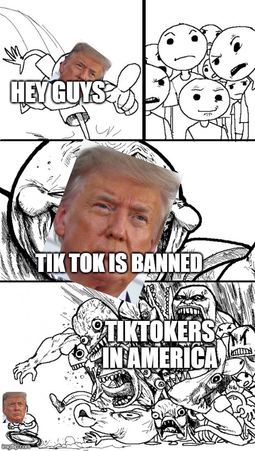 Hey Internet | HEY GUYS; TIK TOK IS BANNED; TIKTOKERS IN AMERICA | image tagged in memes,hey internet | made w/ Imgflip meme maker