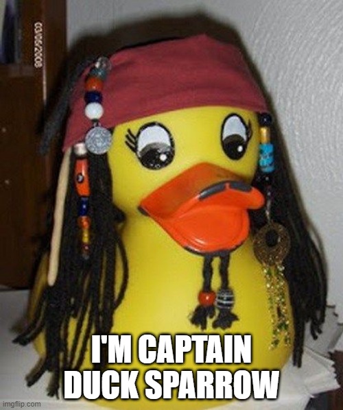 Ducks of the Caribbean | I'M CAPTAIN DUCK SPARROW | image tagged in ducks | made w/ Imgflip meme maker