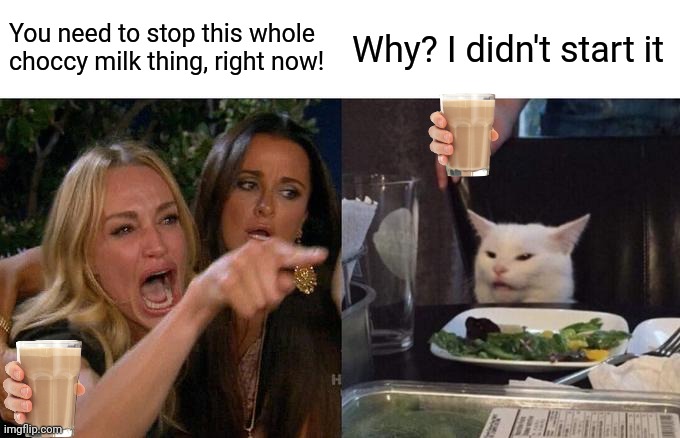 firing the first volley | You need to stop this whole choccy milk thing, right now! Why? I didn't start it | image tagged in memes,woman yelling at cat,choccy milk,fighting,who cares | made w/ Imgflip meme maker