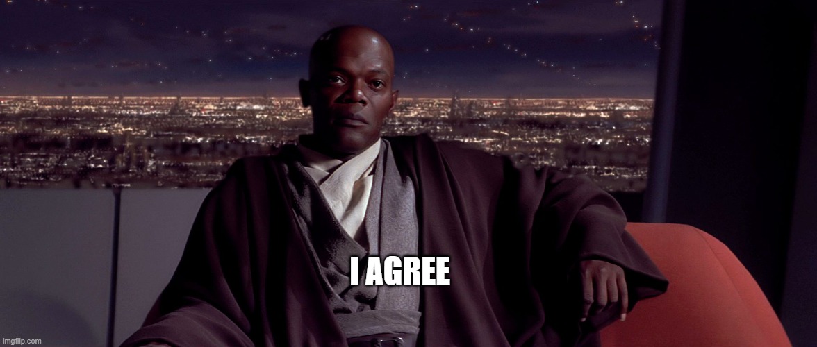 Mace Windu I agree | I AGREE | image tagged in mace windu i agree | made w/ Imgflip meme maker