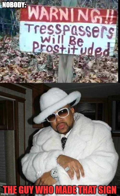 You thought he didn't know how to spell | NOBODY:; THE GUY WHO MADE THAT SIGN | image tagged in pimp c,memes,sign,trespassers,prostitute | made w/ Imgflip meme maker