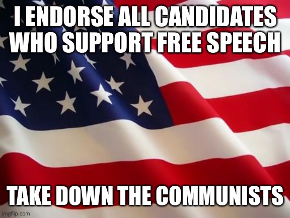 All pro-free speech, God fearing candidates | I ENDORSE ALL CANDIDATES WHO SUPPORT FREE SPEECH; TAKE DOWN THE COMMUNISTS | image tagged in american flag | made w/ Imgflip meme maker