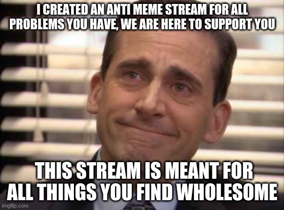 anti_meme_stream | I CREATED AN ANTI MEME STREAM FOR ALL PROBLEMS YOU HAVE, WE ARE HERE TO SUPPORT YOU; THIS STREAM IS MEANT FOR ALL THINGS YOU FIND WHOLESOME | image tagged in wholesome | made w/ Imgflip meme maker