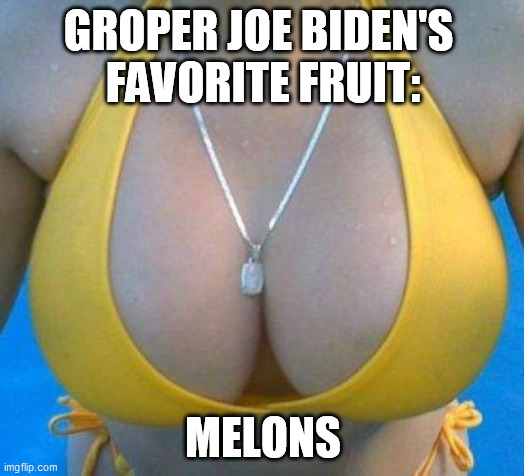 boobs | GROPER JOE BIDEN'S 
FAVORITE FRUIT: MELONS | image tagged in boobs | made w/ Imgflip meme maker