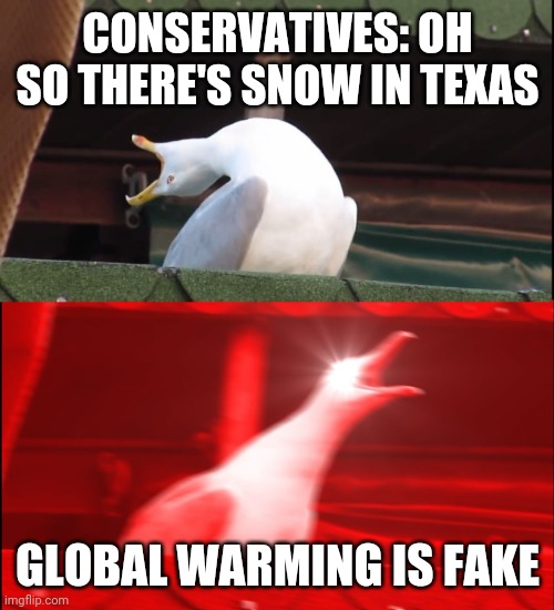 Bleh |  CONSERVATIVES: OH SO THERE'S SNOW IN TEXAS; GLOBAL WARMING IS FAKE | image tagged in screaming bird | made w/ Imgflip meme maker