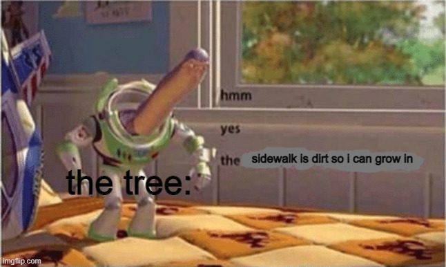 hmm yes the floor here is made out of floor | sidewalk is dirt so i can grow in the tree: | image tagged in hmm yes the floor here is made out of floor | made w/ Imgflip meme maker