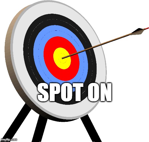 SPOT ON | made w/ Imgflip meme maker