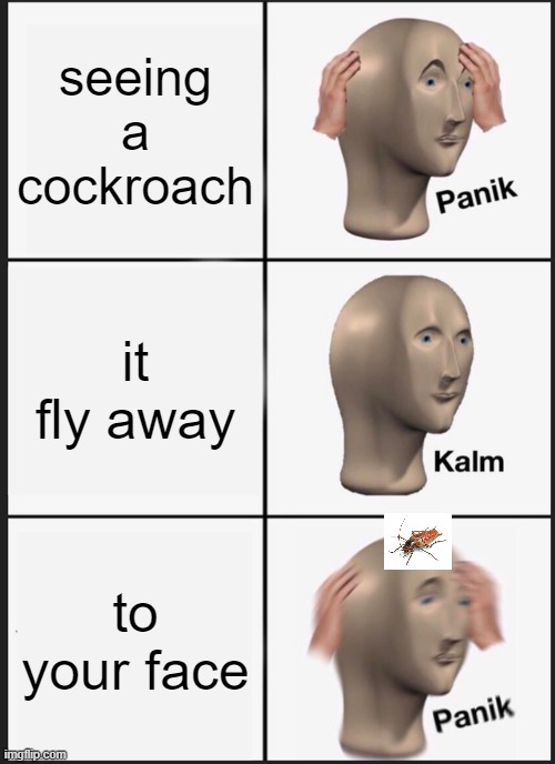 aaaaaaaaaaaaaaaa | seeing a cockroach; it fly away; to your face | image tagged in memes,panik kalm panik | made w/ Imgflip meme maker