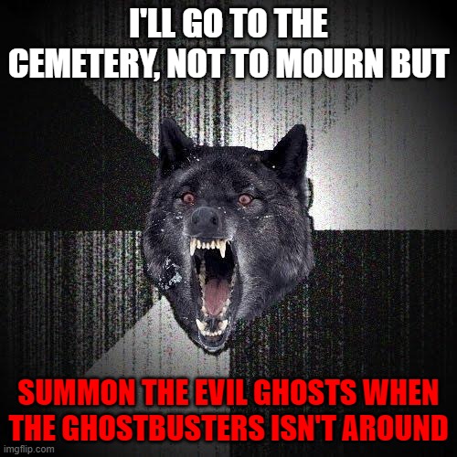 wut? | I'LL GO TO THE CEMETERY, NOT TO MOURN BUT; SUMMON THE EVIL GHOSTS WHEN THE GHOSTBUSTERS ISN'T AROUND | image tagged in memes,insanity wolf | made w/ Imgflip meme maker