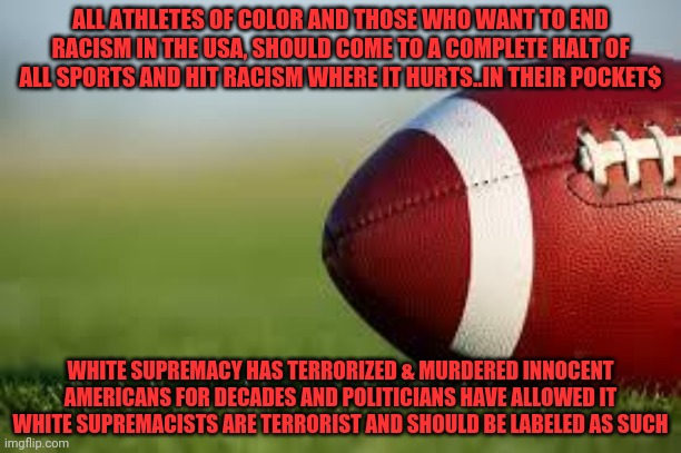 football field | ALL ATHLETES OF COLOR AND THOSE WHO WANT TO END RACISM IN THE USA, SHOULD COME TO A COMPLETE HALT OF ALL SPORTS AND HIT RACISM WHERE IT HURTS..IN THEIR POCKET$; WHITE SUPREMACY HAS TERRORIZED & MURDERED INNOCENT AMERICANS FOR DECADES AND POLITICIANS HAVE ALLOWED IT WHITE SUPREMACISTS ARE TERRORIST AND SHOULD BE LABELED AS SUCH | image tagged in football field | made w/ Imgflip meme maker
