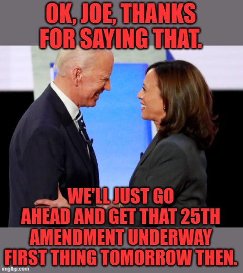 When your president drops the N bomb you know what to do! | OK, JOE, THANKS FOR SAYING THAT. WE'LL JUST GO AHEAD AND GET THAT 25TH AMENDMENT UNDERWAY FIRST THING TOMORROW THEN. | image tagged in biden harris,n word,25th amendment | made w/ Imgflip meme maker