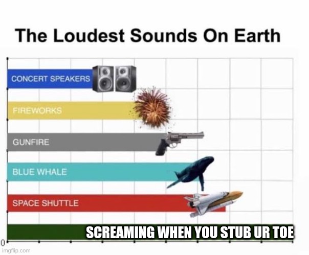 The Loudest Sounds on Earth | SCREAMING WHEN YOU STUB UR TOE | image tagged in the loudest sounds on earth | made w/ Imgflip meme maker