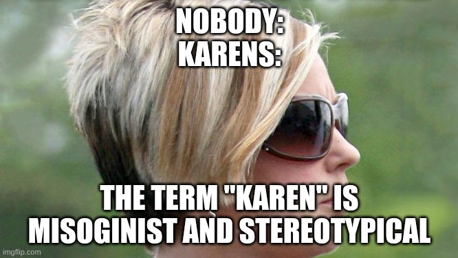 Karen | NOBODY:
KARENS:; THE TERM "KAREN" IS MISOGINIST AND STEREOTYPICAL | image tagged in karen | made w/ Imgflip meme maker