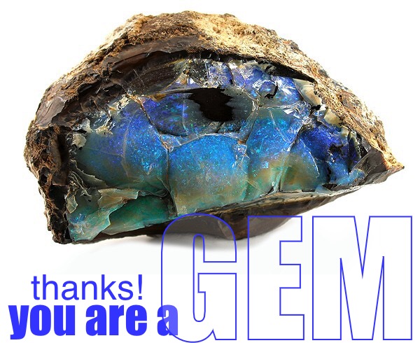you are a GEM thanks! | made w/ Imgflip meme maker