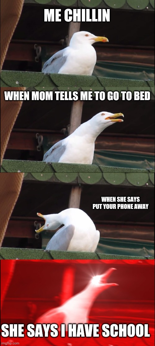 Inhaling Seagull | ME CHILLIN; WHEN MOM TELLS ME TO GO TO BED; WHEN SHE SAYS PUT YOUR PHONE AWAY; SHE SAYS I HAVE SCHOOL | image tagged in memes,inhaling seagull | made w/ Imgflip meme maker