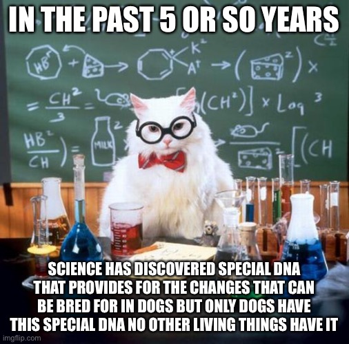 Chemistry Cat Meme | IN THE PAST 5 OR SO YEARS SCIENCE HAS DISCOVERED SPECIAL DNA THAT PROVIDES FOR THE CHANGES THAT CAN BE BRED FOR IN DOGS BUT ONLY DOGS HAVE T | image tagged in memes,chemistry cat | made w/ Imgflip meme maker