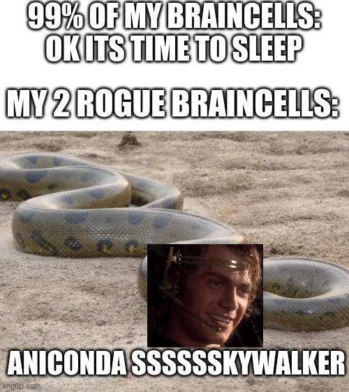 Anaconda | 99% OF MY BRAINCELLS: OK ITS TIME TO SLEEP; MY 2 ROGUE BRAINCELLS:; ANICONDA SSSSSSKYWALKER | image tagged in anaconda,anakin skywalker,star wars,my two rogue braincells | made w/ Imgflip meme maker