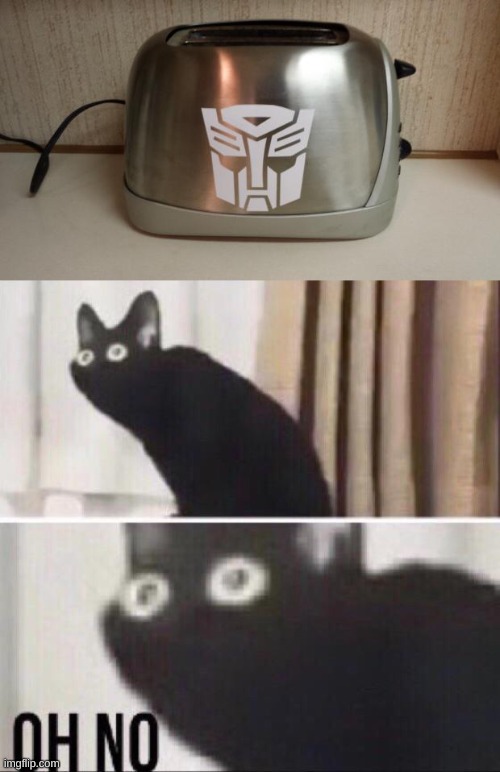 image tagged in autobot toaster,oh no cat | made w/ Imgflip meme maker