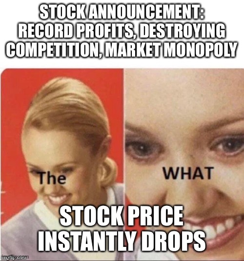 Stock price drop | STOCK ANNOUNCEMENT: RECORD PROFITS, DESTROYING COMPETITION, MARKET MONOPOLY; STOCK PRICE INSTANTLY DROPS | image tagged in the what lady | made w/ Imgflip meme maker