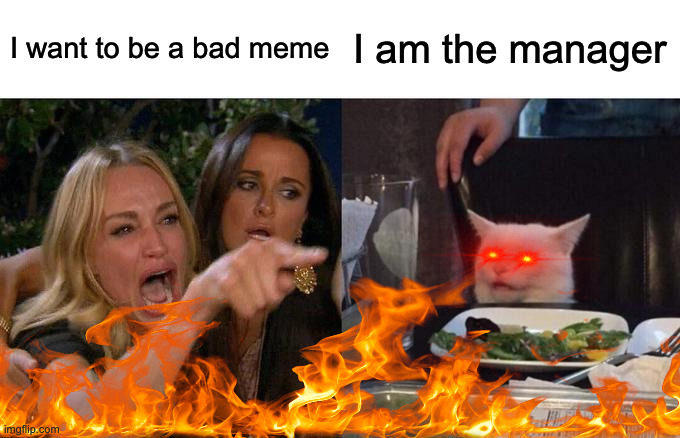 Bad meme | I want to be a bad meme; I am the manager | image tagged in bad memes,woman yelling at cat,what the hell happened here | made w/ Imgflip meme maker