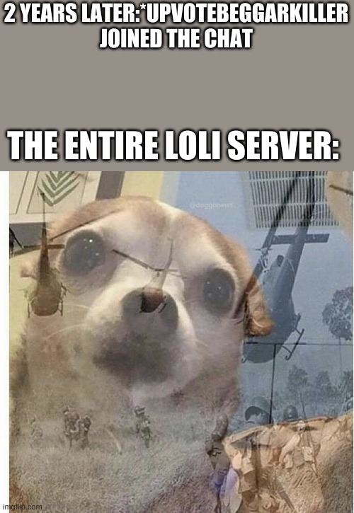 PTSD Chihuahua | 2 YEARS LATER:*UPVOTEBEGGARKILLER JOINED THE CHAT THE ENTIRE LOLI SERVER: | image tagged in ptsd chihuahua | made w/ Imgflip meme maker