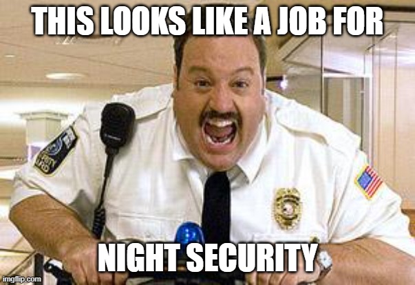 Mall Cop | THIS LOOKS LIKE A JOB FOR; NIGHT SECURITY | image tagged in mall cop | made w/ Imgflip meme maker