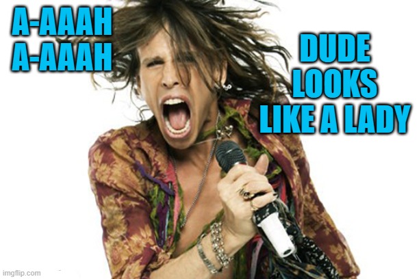 Steve Tyler Aerosmith | A-AAAH
A-AAAH DUDE LOOKS LIKE A LADY | image tagged in steve tyler aerosmith | made w/ Imgflip meme maker