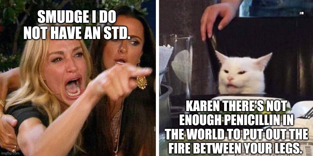 Smudge the cat | J M; SMUDGE I DO NOT HAVE AN STD. KAREN THERE'S NOT ENOUGH PENICILLIN IN THE WORLD TO PUT OUT THE FIRE BETWEEN YOUR LEGS. | image tagged in smudge the cat | made w/ Imgflip meme maker