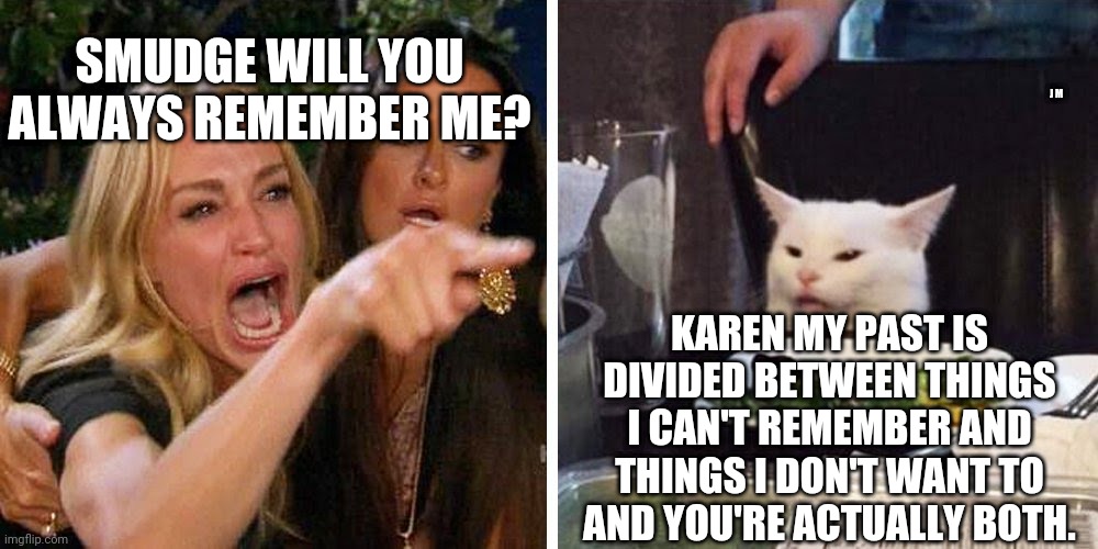 Smudge the cat | SMUDGE WILL YOU ALWAYS REMEMBER ME? J M; KAREN MY PAST IS DIVIDED BETWEEN THINGS I CAN'T REMEMBER AND THINGS I DON'T WANT TO AND YOU'RE ACTUALLY BOTH. | image tagged in smudge the cat | made w/ Imgflip meme maker