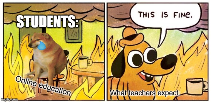 Online education | STUDENTS:; What teachers expect:; Online education | image tagged in memes,this is fine | made w/ Imgflip meme maker