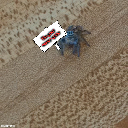 Guess who | The giant enemy spider | image tagged in spider,memes | made w/ Imgflip meme maker