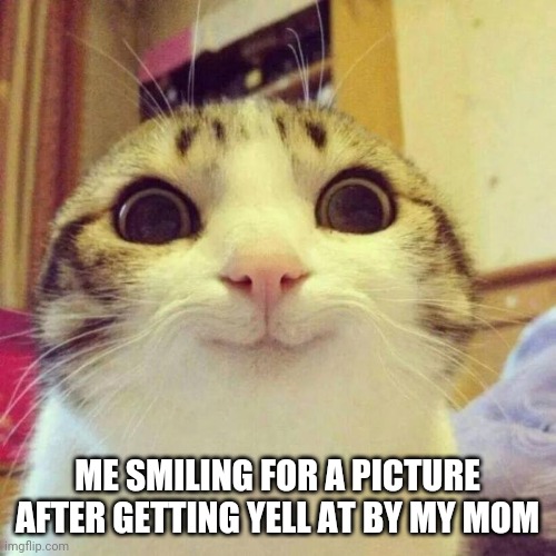 Say cheese | ME SMILING FOR A PICTURE AFTER GETTING YELL AT BY MY MOM | image tagged in memes,smiling cat | made w/ Imgflip meme maker