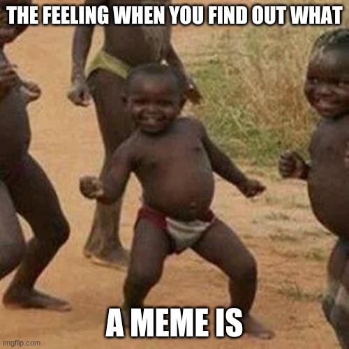 Third World Success Kid | THE FEELING WHEN YOU FIND OUT WHAT; A MEME IS | image tagged in memes,third world success kid | made w/ Imgflip meme maker