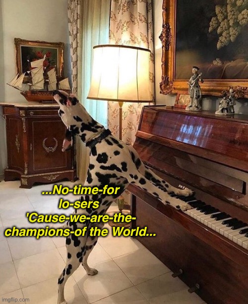 Champion (of the Living Room) | ...No-time-for lo-sers 
'Cause-we-are-the-
champions-of the World... | image tagged in funny dog memes,song lyrics,queen | made w/ Imgflip meme maker