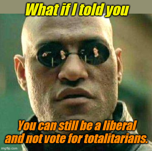 What if i told you | What if I told you; You can still be a liberal and not vote for totalitarians. | image tagged in what if i told you | made w/ Imgflip meme maker