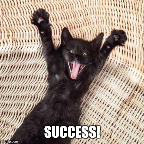 Happy cat  | SUCCESS! | image tagged in happy cat | made w/ Imgflip meme maker