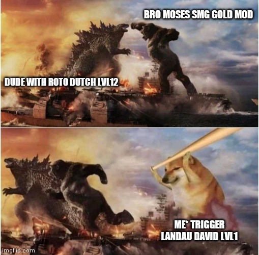 Kong Godzilla Doge | BRO MOSES SMG GOLD MOD; DUDE WITH ROTO DUTCH LVL12; ME* TRIGGER LANDAU DAVID LVL1 | image tagged in kong godzilla doge | made w/ Imgflip meme maker