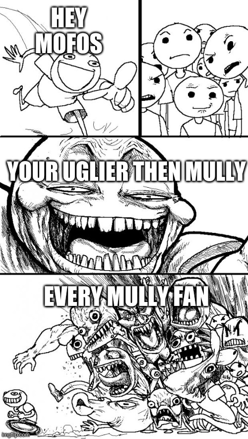 Hey Internet | HEY MOFOS; YOUR UGLIER THEN MULLY; EVERY MULLY FAN | image tagged in memes,hey internet | made w/ Imgflip meme maker