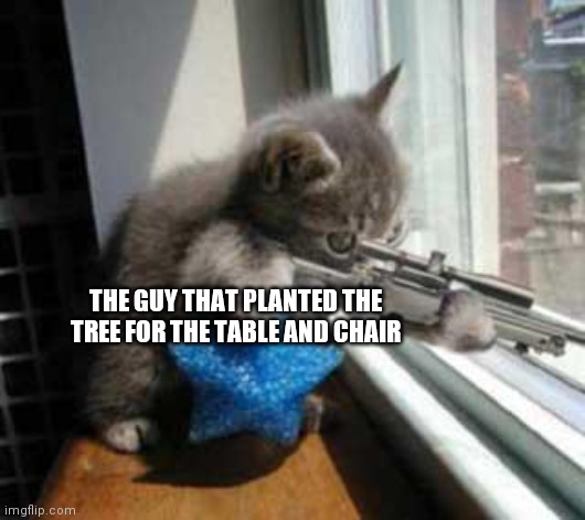 CatSniper | THE GUY THAT PLANTED THE TREE FOR THE TABLE AND CHAIR | image tagged in catsniper | made w/ Imgflip meme maker