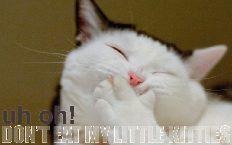 uh oh! DON’T EAT MY LITTLE KITTIES | made w/ Imgflip meme maker
