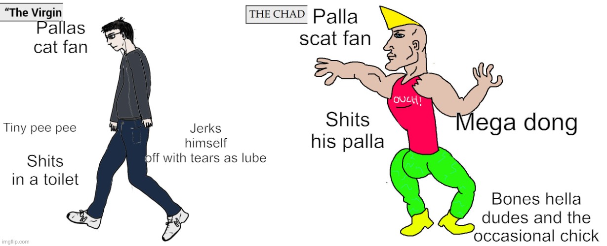 Virgin and Chad | Palla scat fan; Pallas cat fan; Jerks himself off with tears as lube; Shits his palla; Mega dong; Tiny pee pee; Shits in a toilet; Bones hella dudes and the occasional chick | image tagged in virgin and chad | made w/ Imgflip meme maker