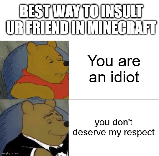 Tuxedo Winnie The Pooh Meme | BEST WAY TO INSULT UR FRIEND IN MINECRAFT; You are an idiot; you don't deserve my respect | image tagged in memes,tuxedo winnie the pooh | made w/ Imgflip meme maker