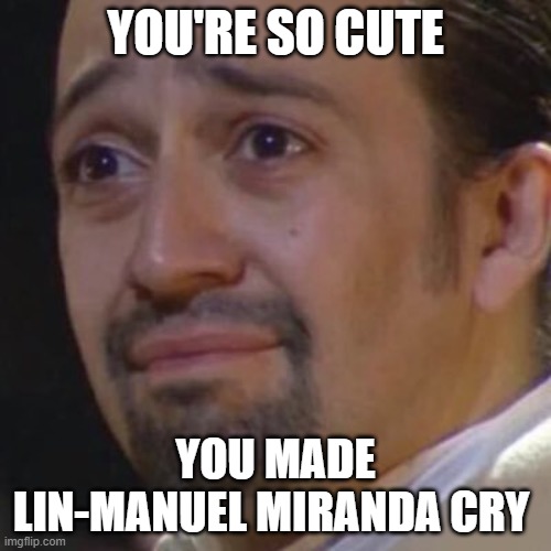 You cute ^^ | YOU'RE SO CUTE; YOU MADE LIN-MANUEL MIRANDA CRY | image tagged in sad hamilton | made w/ Imgflip meme maker