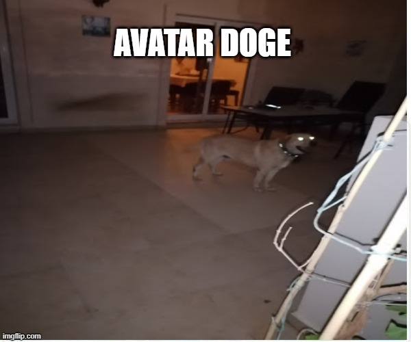 avatar stuff | AVATAR DOGE | image tagged in avatar the last airbender | made w/ Imgflip meme maker